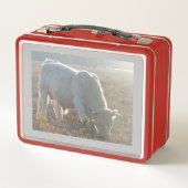 Sun Surround White Cow Lunchbox (Rückseite)