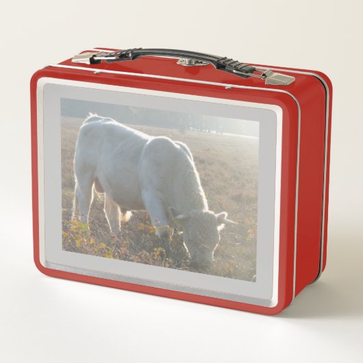 Sun Surround White Cow Lunchbox (Rückseite)