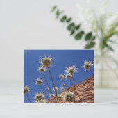 Sun Thistle Postcard Postkarte (Stehend Vorderseite)