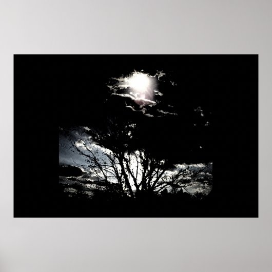Sun thru Trees B&W Poster (Vorne)