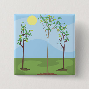Sun & Trees - Button
