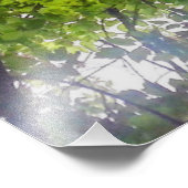 Sun Trees (Ohio) - Foto Print (Ecke)