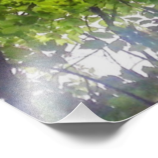 Sun Trees (Ohio) - Foto Print (Ecke)