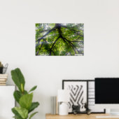 Sun Trees (Ohio) - Poster (Heimbüro)