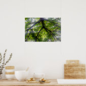 Sun Trees (Ohio) - Poster (Küche)