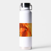 Sun Trinkflasche (Rückseite)