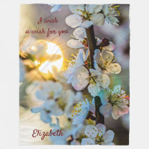 Sun und japanische Aprikosen-Blume