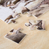 Sun und Schatten in einem Bachbett Puzzle (Seite)