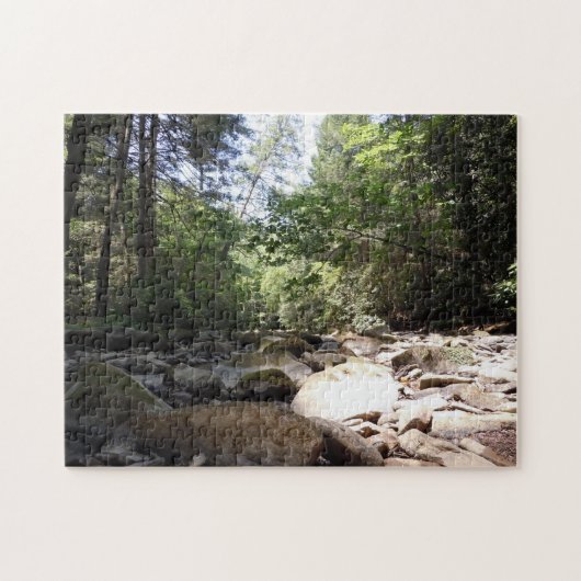 Sun und Schatten in einem Bachbett Puzzle (Horizontal)