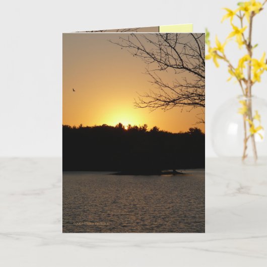 Sun unten karte (Gelbe Blume)