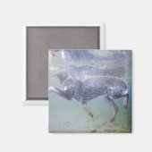 Sun Valley, Idaho, USA. Magnet (Vorderseite/Rückseite)