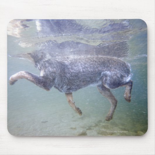 Sun Valley, Idaho, USA. Mousepad (Vorne)