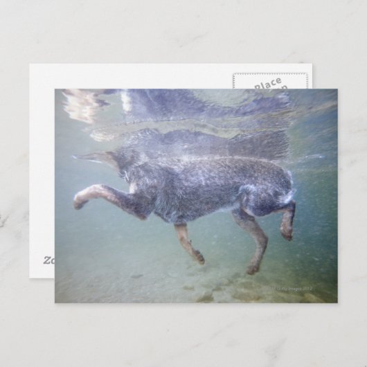 Sun Valley, Idaho, USA. Postkarte (Vorne/Hinten)