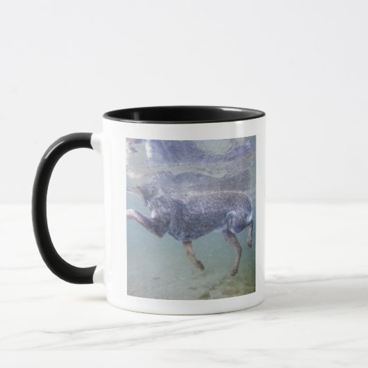 Sun Valley, Idaho, USA Tasse (Links)
