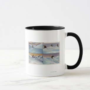 Sun Valley, Identifikation - Ski Tasse