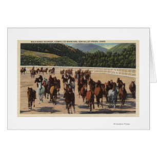 Sun Valley, Identifikation - wildes