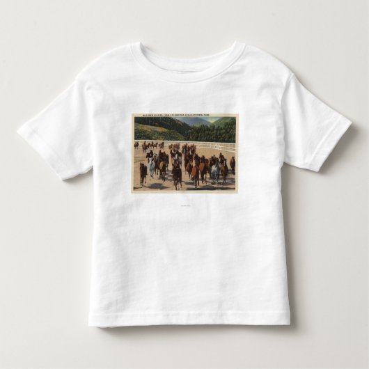 Sun Valley, Identifikation - wildes Kleinkind T-shirt (Vorderseite)
