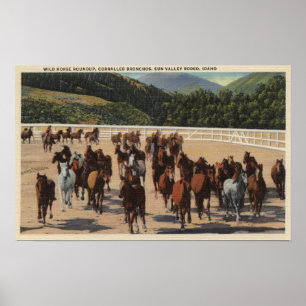 Sun Valley, Identifikation - wildes Poster