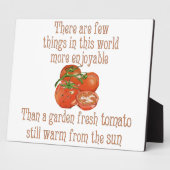 Sun wärmte Tomaten Fotoplatte (Seite)