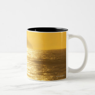 Sun-Weg [Reflexionen] von der niedrigen Zweifarbige Tasse