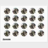Sun Worship Cat Sticker (Blatt)