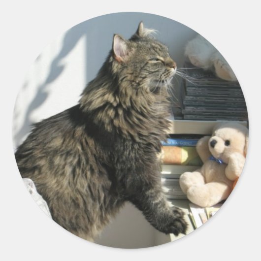 Sun Worship Cat Sticker (Vorderseite)