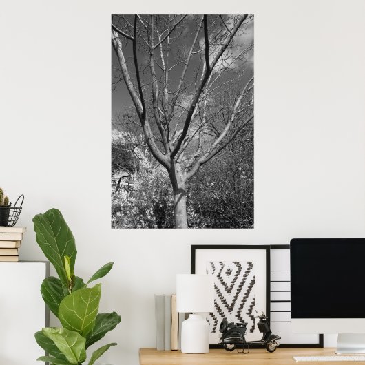 Sun-Wurzelbaum Poster (Heimbüro)