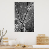 Sun-Wurzelbaum Poster (Küche)