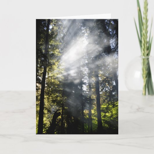 Sunams Karte (Vorderseite)