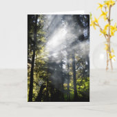 Sunams Karte (Gelbe Blume)