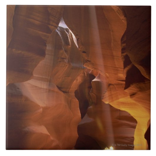 Sunbeam, der Tumbleweed auf Schluchtboden schlägt Fliese (Vorderseite)