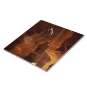 Sunbeam, der Tumbleweed auf Schluchtboden schlägt Fliese (Seite)