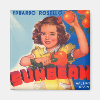 Sunbeam Magnet