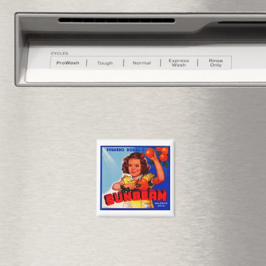 Sunbeam Magnet (In Situ (Geschirrspüler))