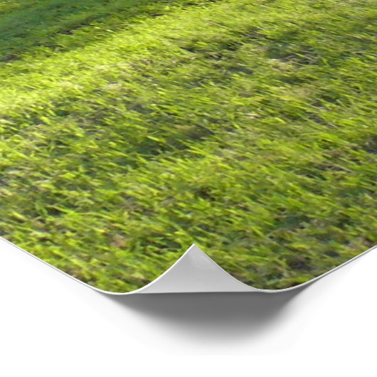 Sunbeam Poster (Ecke)