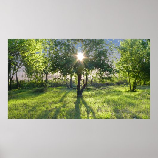 Sunbeam Poster (Vorne)