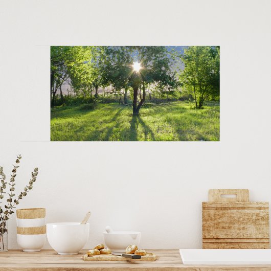 Sunbeam Poster (Küche)