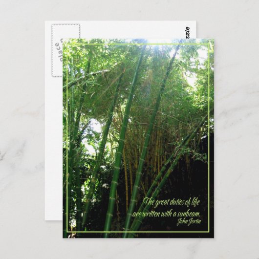 Sunbeam Postkarte (Vorne/Hinten)