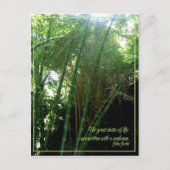 Sunbeam Postkarte (Vorderseite)