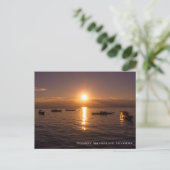 Sunbeam Sunset Rays Floating Boats Sea Twilight Postkarte (Stehend Vorderseite)