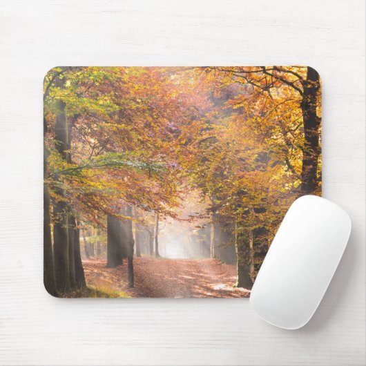 Sunbeams in einem Herbstwaldmousepad Mousepad (Mit Mouse)