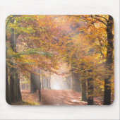 Sunbeams in einem Herbstwaldmousepad Mousepad (Vorne)