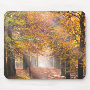Sunbeams in einem Herbstwaldmousepad Mousepad