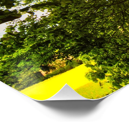 Sunbeams Poster (Ecke)