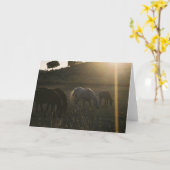 Sunbeams vom Himmel - Foto-Gruß-Karte Karte (Gelbe Blume)