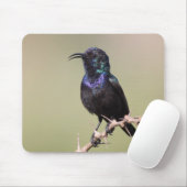 Sunbird Mousepad (Mit Mouse)