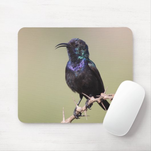 Sunbird Mousepad (Mit Mouse)