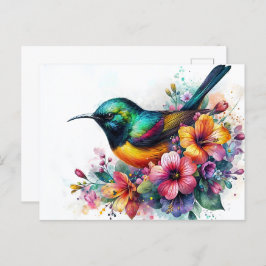 Sunbird Watercolor Art Postkarte