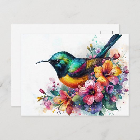 Sunbird Watercolor Art Postkarte (Vorne/Hinten)