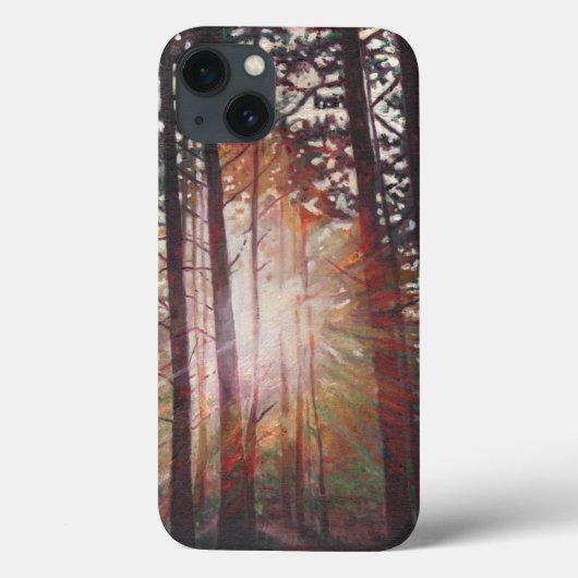 Sunburst 2010 Case-Mate iPhone hülle (Rückseite)